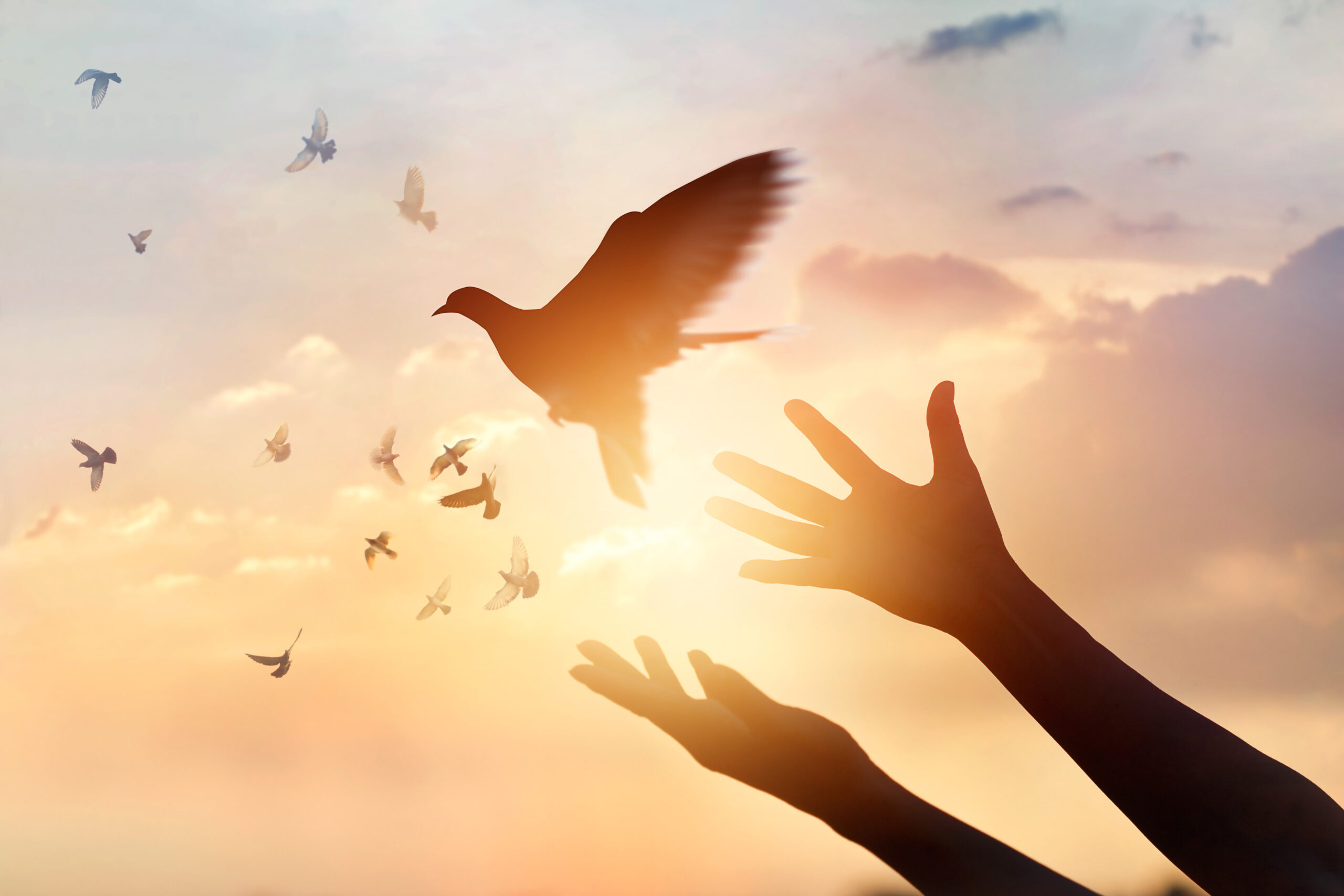 woman praying free bird scaled